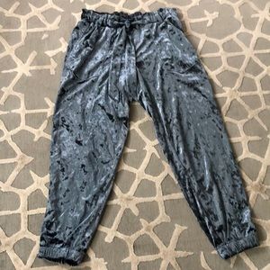 Velvet with scrunched bottoms jolt pant